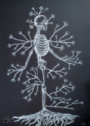 0_Esqueleto