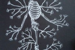 0_Esqueleto